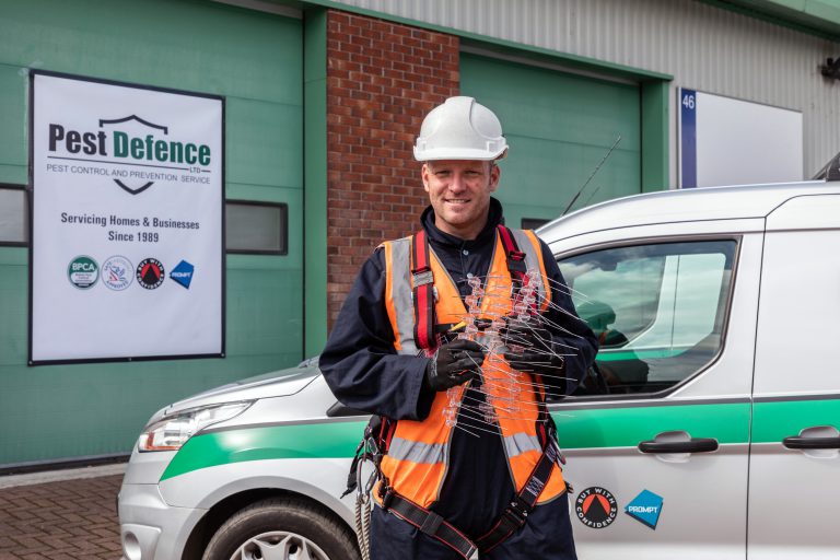 Pigeon Control & Removal Services