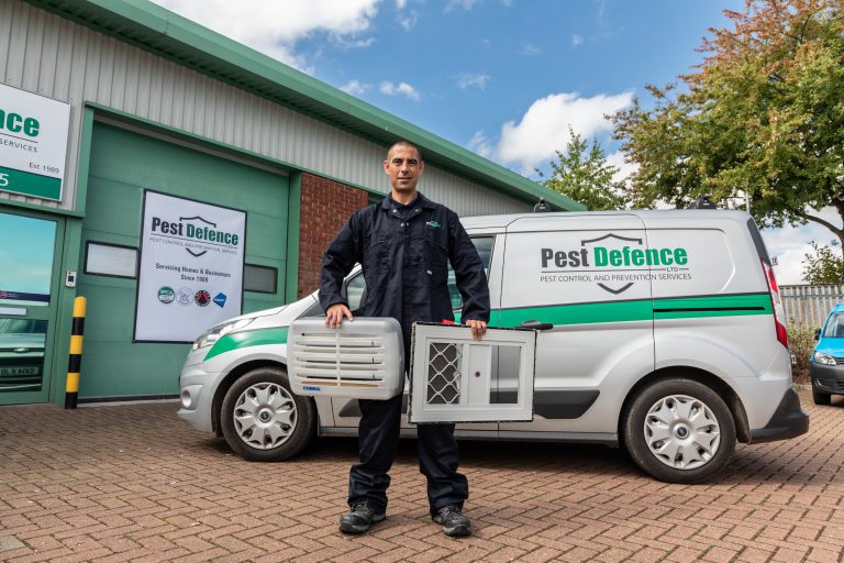 pest control and removal services