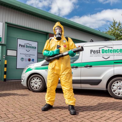 pest control fly infestation extermination
