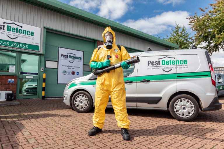 pest control fly infestation extermination