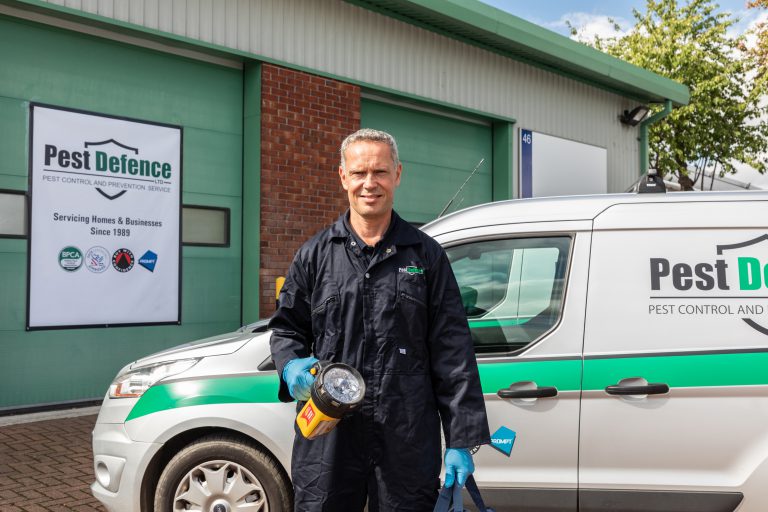 squirrel control and removal services by pest defence