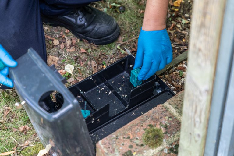 rat box to capture and remove