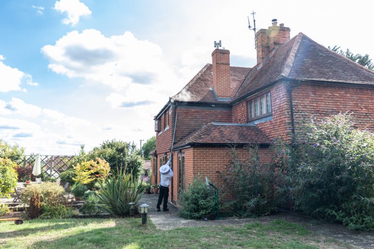 wasp nest removal by pest defence