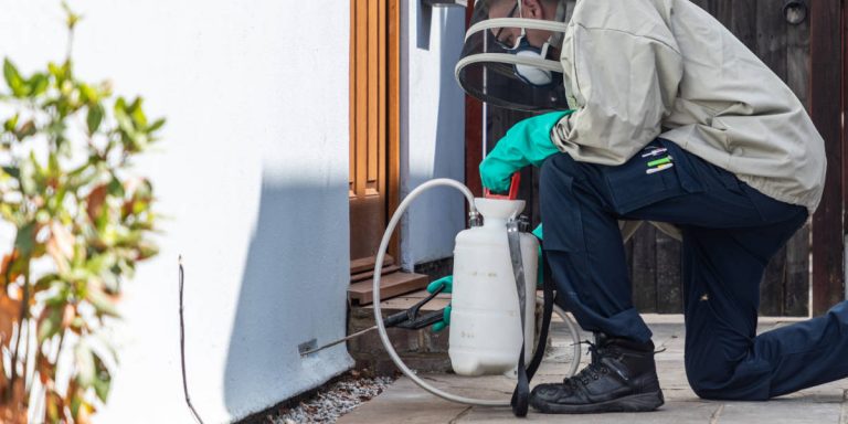 pest control services London Borough of Redbridge