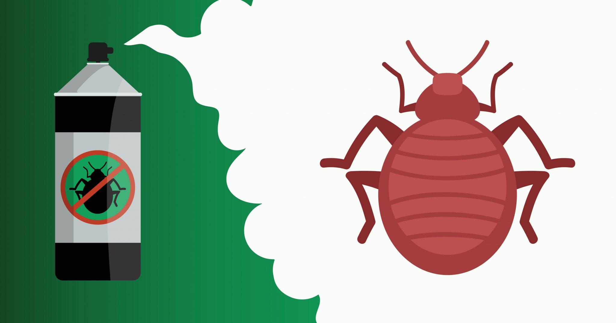 Bed bugs are commonly found in Autumn