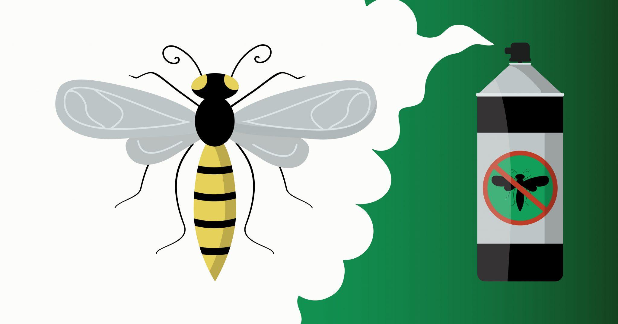 The early part of Autumn is probably when you’re likely to see wasps in even greater numbers