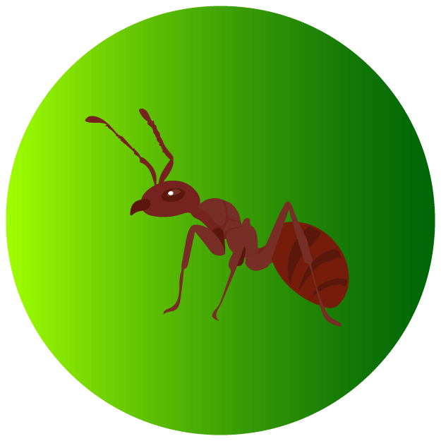 Ants Icon - Pest Defence