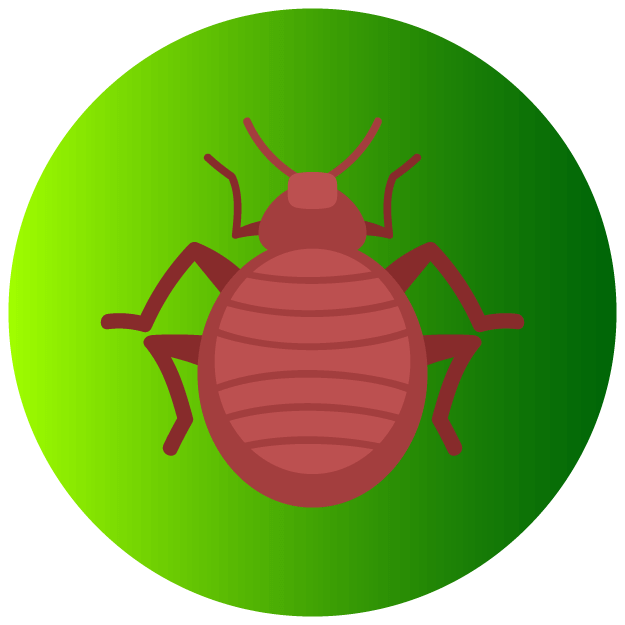 Bed Bugs - Pest Defence