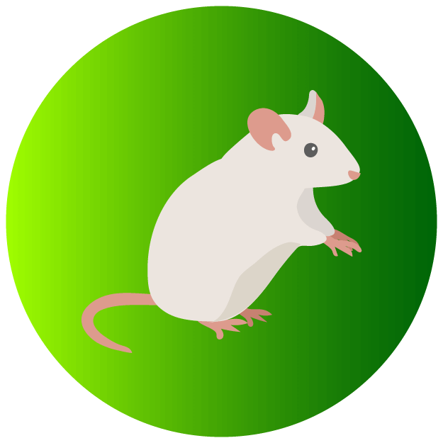 Mice Icon - Pest Defence