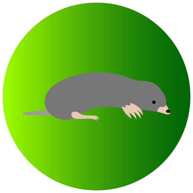 Moles Icon - Pest Defence