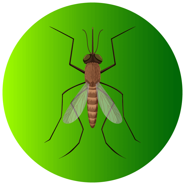 Mosquitoes Icon - Pest Defence