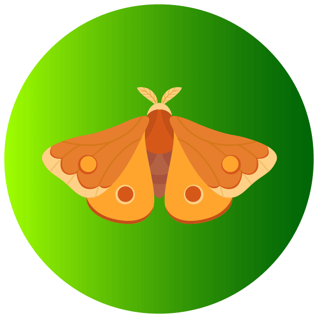 Moths Icon - Pest Defence