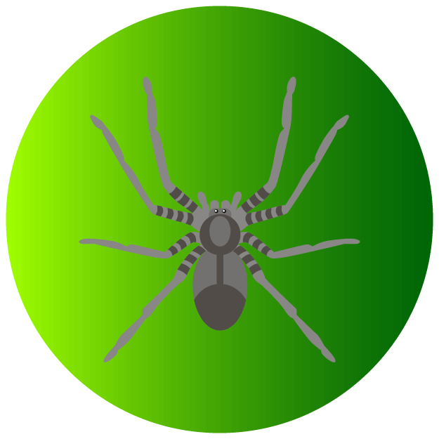 Spiders Icon - Pest Defence