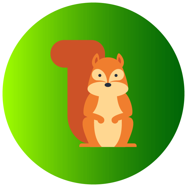 Squirrels Icon - Pest Defence