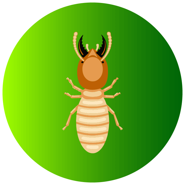 Termites Icon - Pest Defence